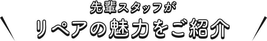 先輩スタッフご紹介